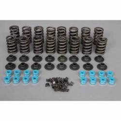 SBC VALVE SPRING KIT