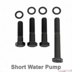 BOLT SET STAINLESS SBC BLACK