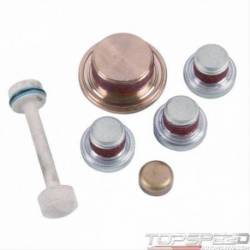 GM LS BRASS EXPANSION PLUG KIT