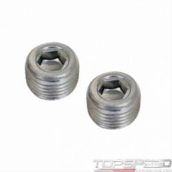 PIPE PLUG SS 1/8 NPT PAIR