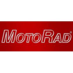 Engine Coolant Thermostat