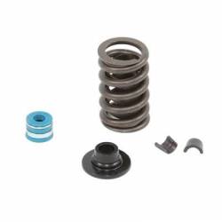 SBC VALVE SPRING KIT