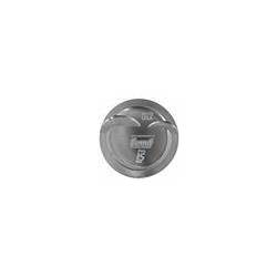6.0L LS FORGED PISTON