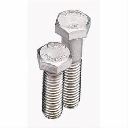 BOLT SET-STAINLESS SBC