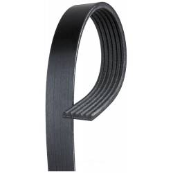 Premium Automotive V-Ribbed Belt