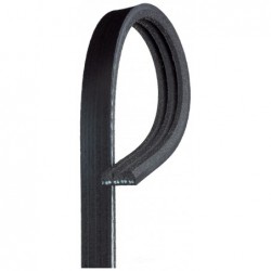 Premium Automotive V-Ribbed Belt