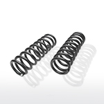 Coil Spring Set