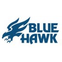 BLUE HAWK