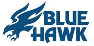 BLUE HAWK